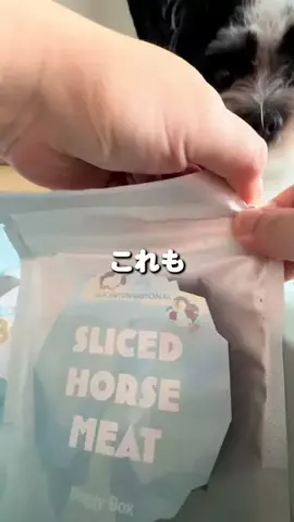 いなり🦊 【ダワワ】チワックスのTikTok投稿