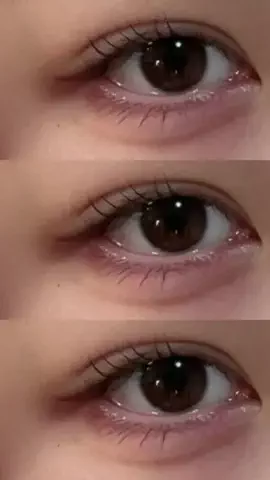 🐻のTikTok投稿
