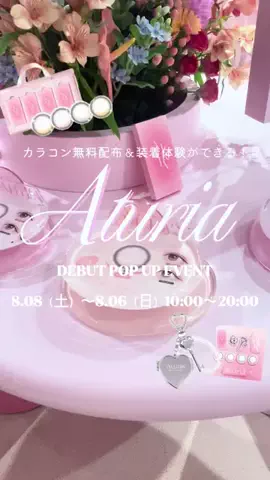 🐻のTikTok投稿