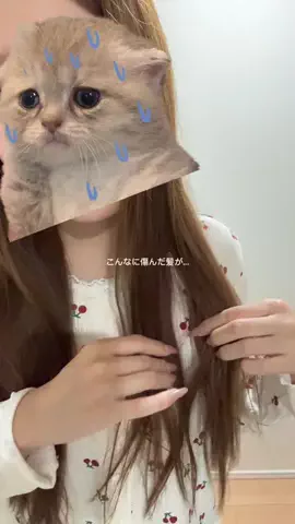 saya 🦢のTikTok投稿