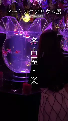 ココなご | 名古屋おでかけ情報のTikTok投稿