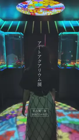 ココなご | 名古屋おでかけ情報のTikTok投稿