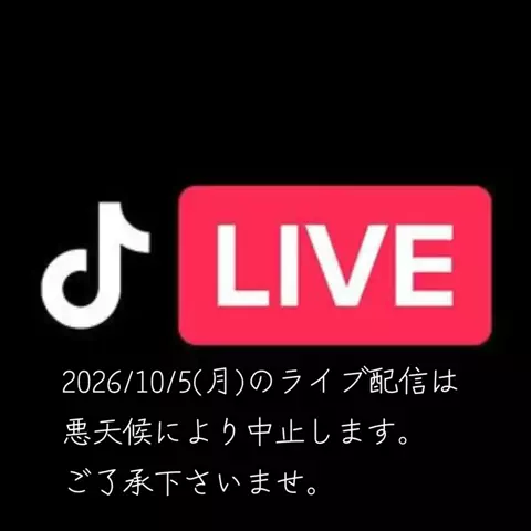 M.oグループ「代表」のTikTok投稿