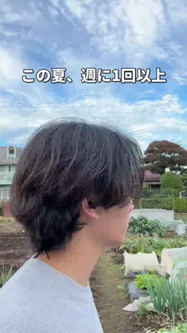 サウナコレクション【サウコレ！】のTikTok投稿