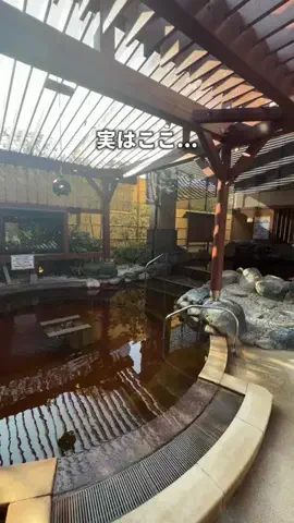 サウナコレクション【サウコレ！】のTikTok投稿