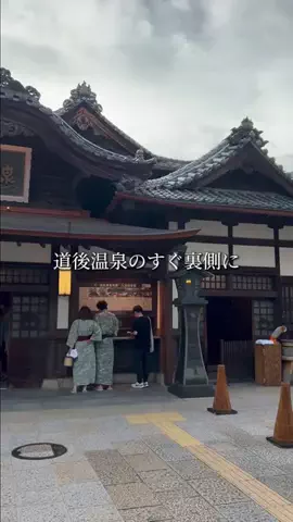 愛媛グルメ／EHIME SELECTのTikTok投稿