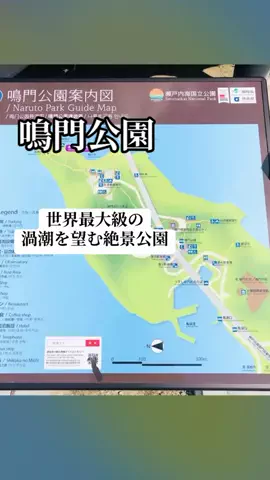ぷりんのTikTok投稿