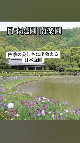 ぷりんのTikTok投稿