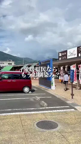 愛媛グルメ／EHIME SELECTのTikTok投稿