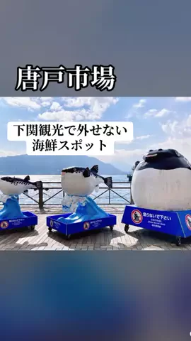 ぷりんのTikTok投稿