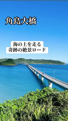 ぷりんのTikTok投稿