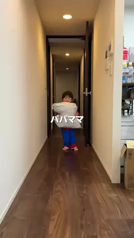 りき太郎のTikTok投稿