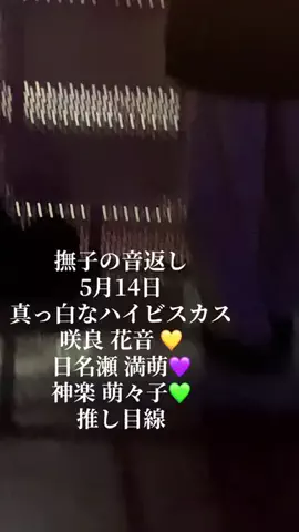 ゆうりたんのTikTok投稿