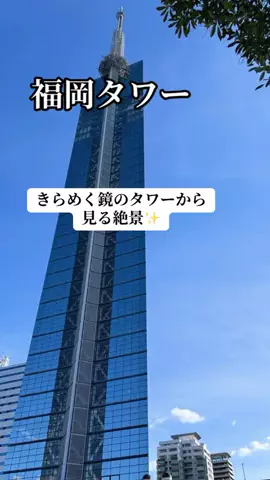 ぷりんのTikTok投稿