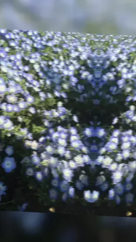 ゆるたび⭐︎コスパ二人旅のTikTok投稿