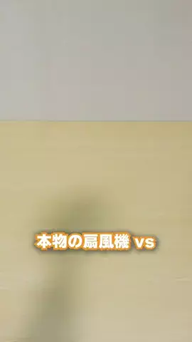 うるこりすのTikTok投稿