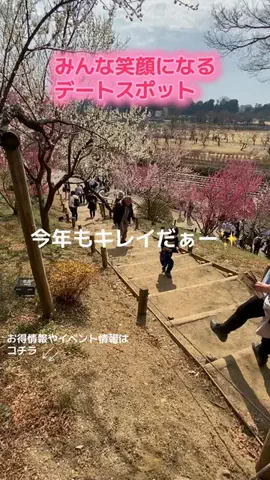 ゆるたび⭐︎コスパ二人旅のTikTok投稿