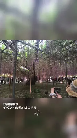 ゆるたび⭐︎コスパ二人旅のTikTok投稿