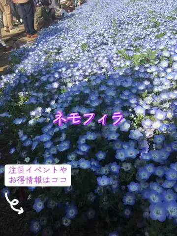 ゆるたび⭐︎コスパ二人旅のTikTok投稿