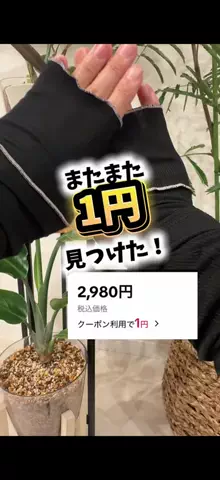 dailyroomのTikTok投稿