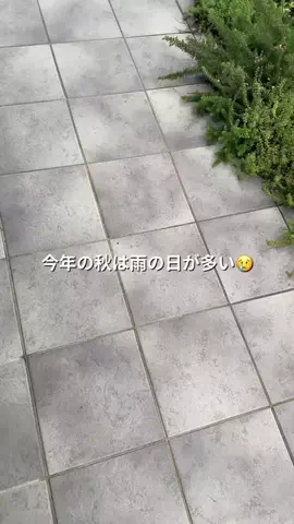 髙山 | 40代着痩せ研究のTikTok投稿