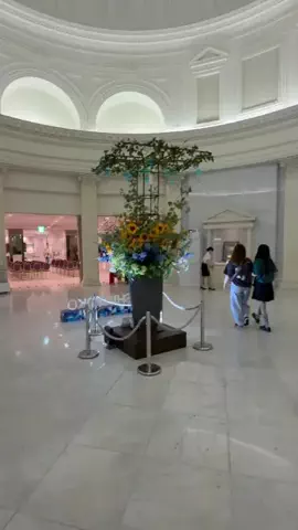 旅ナビのTikTok投稿