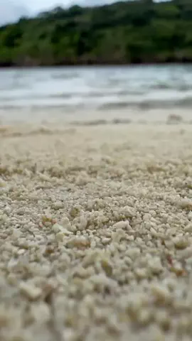 旅ナビのTikTok投稿