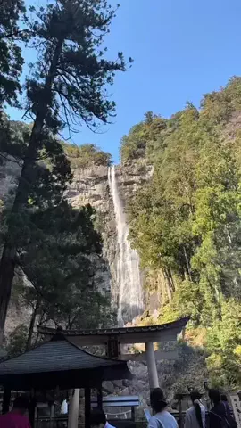 マーケOL浜辺のTikTok投稿