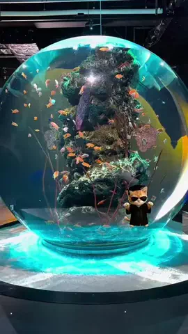 マーケOL浜辺のTikTok投稿