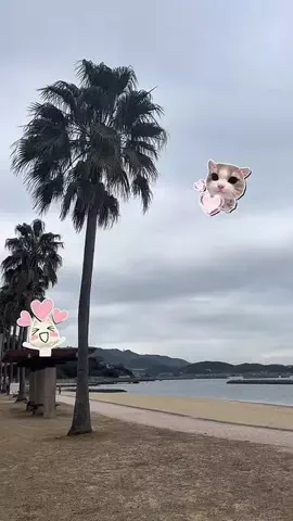 マーケOL浜辺のTikTok投稿