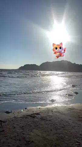 マーケOL浜辺のTikTok投稿