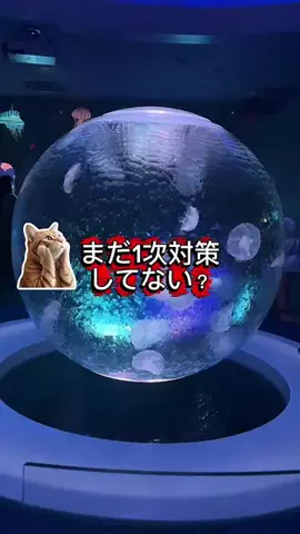マーケOL浜辺のTikTok投稿