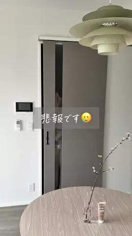 よちゃんのTikTok投稿