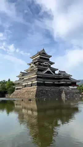 旅ニャンのTikTok投稿