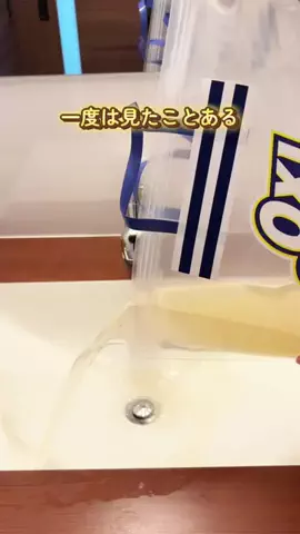 みかん|ラクしてなんぼの家事ハックのTikTok投稿