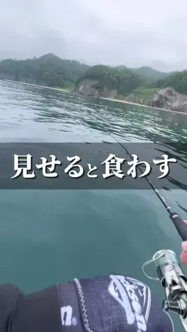 ほそロマンのTikTok投稿