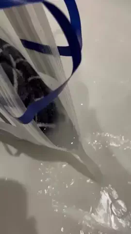 ねぼのTikTok投稿