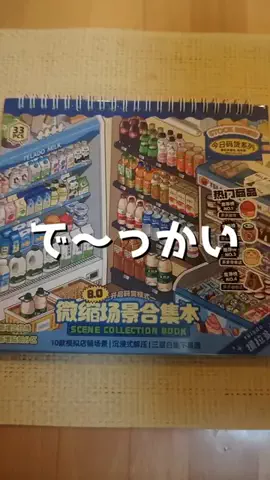 ねぼのTikTok投稿