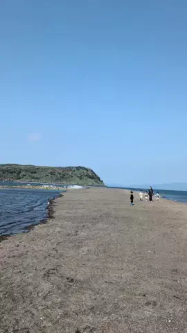 鹿児島グルメ／KAGOSHIMA SELECTのTikTok投稿