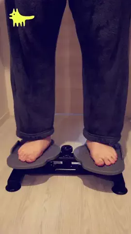 ねぼのTikTok投稿