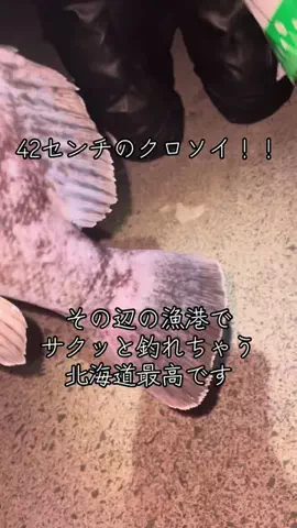 Muranaka 【北海道の魚に魅せられて】のTikTok投稿