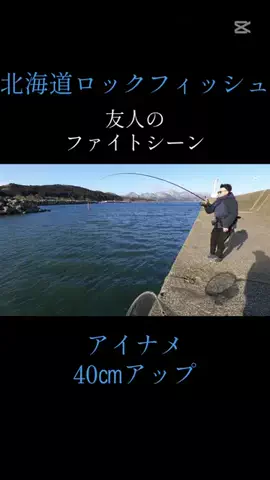 Muranaka 【北海道の魚に魅せられて】のTikTok投稿