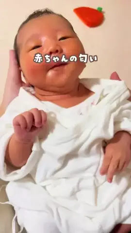ちあ⌇看護師ママの育児ガイドのTikTok投稿
