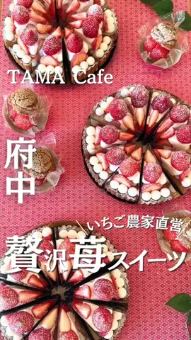多摩カフェ｜多摩地域のカフェを紹介のTikTok投稿