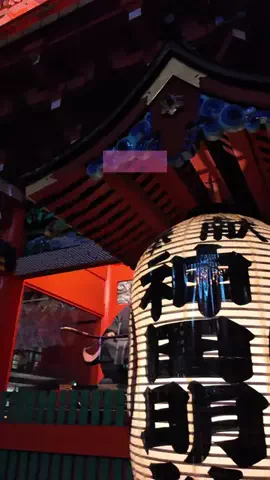 ゆみきゅあ⌇旅とホテルステイのTikTok投稿