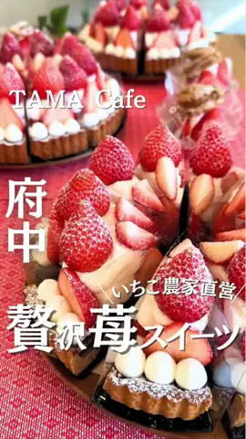 多摩カフェ｜多摩地域のカフェを紹介のTikTok投稿