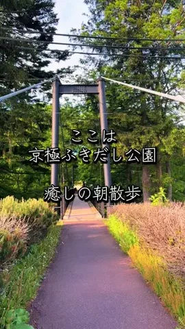 みーなりーなのTikTok投稿