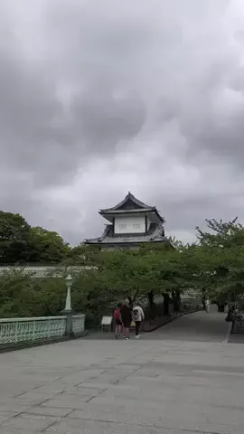 のぶ(スーパー旅行系クリエイター)のTikTok投稿