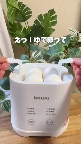 naruriko_kurashiのTikTok投稿
