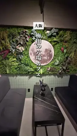 てんのTikTok投稿